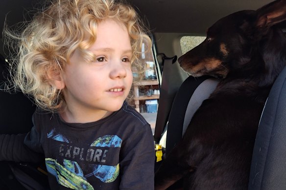 The parents of four-year-old Gus Lamont, who disappeared from Oak Valley Station in September last year, have appealed for public assistance as police investigations continue.