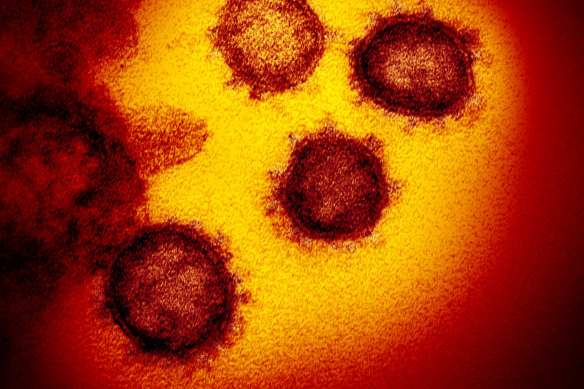 British authorities are concerned about a mutation of the coronavirus SARS-CoV-2.