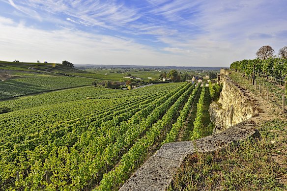 Famosi quartieri vitivinicoli come Saint-Emilion sono lontani dal fuoco.
