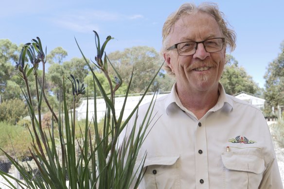Kings Park and Botanic Garden senior plant breeder Digby Growns with a pot of blue kangaroo paw.