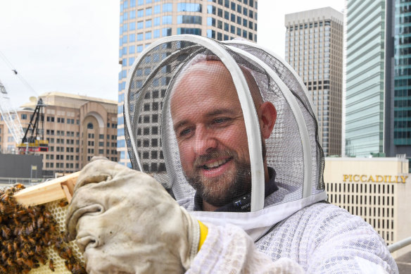 Andrew Wilson inspects hives on the Swissotel Sydney rooftop in the CBD in December. 