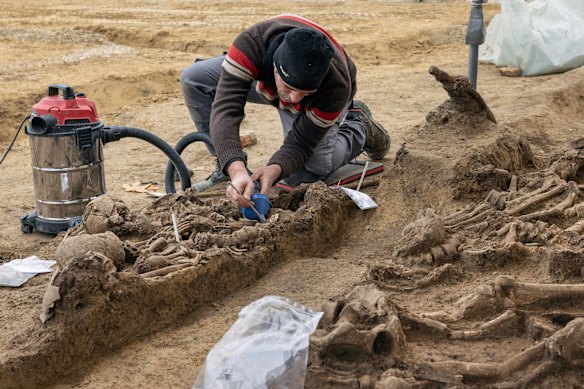 A man works on the excavation of the Roman mass grave believed to contain the rare remains of Roman soldiers.
