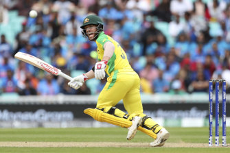 David Warner got a second life after the ball hit the stumps but failed to dislodge the bails.