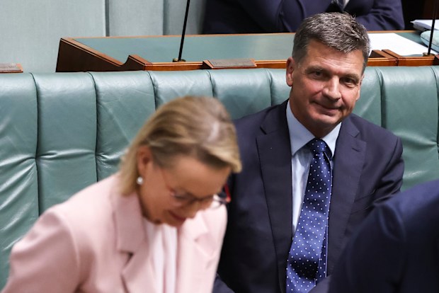 Angus Taylor weighs up challenge to Liberal leader Sussan Ley amid poll ...