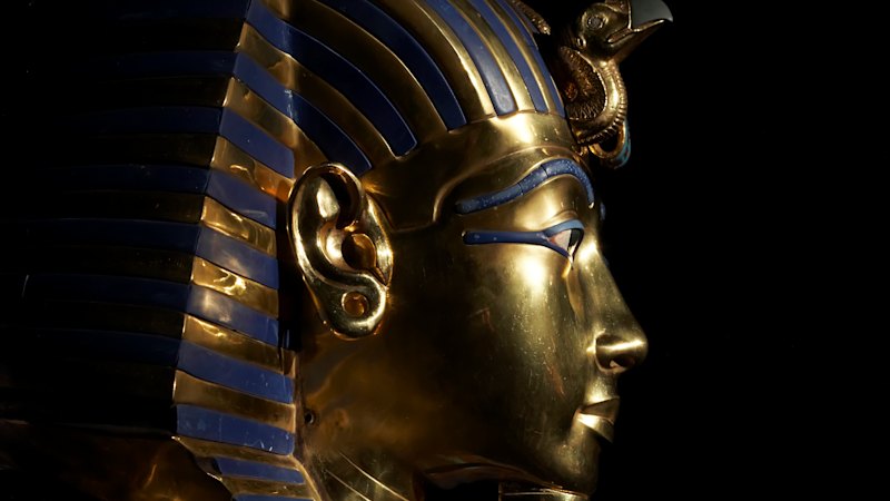 Toxic fungi behind the ‘Pharaoh’s curse’ can kill cancer cells