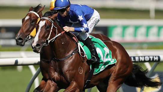 The in-demand Fender is yet to taste defeat heading into a potentially fruitful spring campaign.