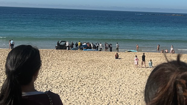 A woman has reportedly been attacked by a shark at Coogee beach.