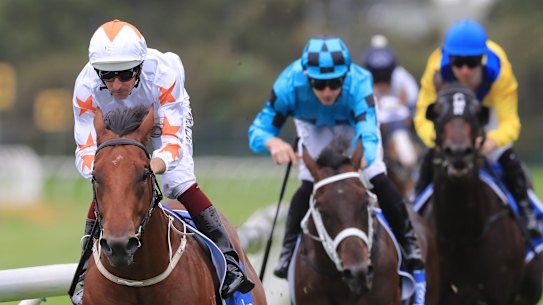 Hugh Bowman cruises to the line on Farnan in the Silver Slipper.