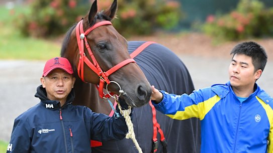 Danny Shum (left), poses with his champion horse, Cox Plate favourite Romantic Warrior.