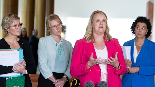 Member for Warringah Zali Steggall, Member for Goldstein Zoe Daniel, Member for North Sydney Kylea Tink and Member for Kooyong Dr Monique Ryan during a press conference at Parliament House in Canberra on Wednesday 20 March 2024. fedpol Photo: Alex Ellinghausen