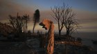 A statue stands amid damage from the Palisades fire last week.
