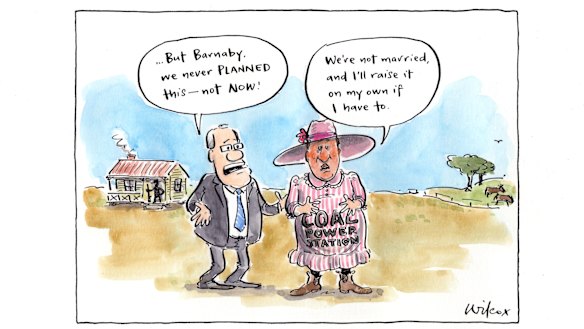 Illustration: Cathy Wilcox