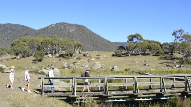 Crossing the Bogong Creek on the track to Yankee Hat. The ‘hat’ is the hill at centre left.