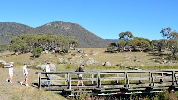 Crossing the Bogong Creek on the track to Yankee Hat. The ‘hat’ is the hill at centre left.