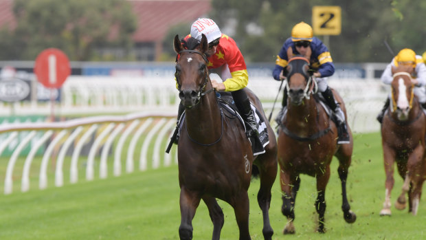 Family ties: Cosmic Force races into the Golden Slipper in the Pago Pago Stakes.