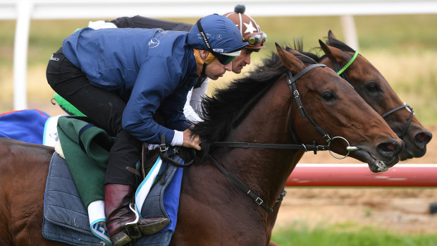 Marmelo (outside) ridden by Hugh Bowman at Werribee racecourse in October last year.