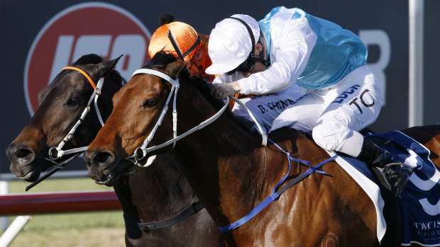 Got Unders is a $31 outsider at Randwick on Saturday but well worth an each-way ticket.