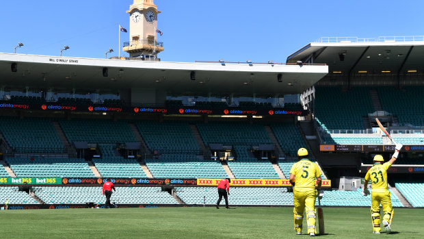 David Warner and Aaron Finch walk out to bat at an empty SCG. 