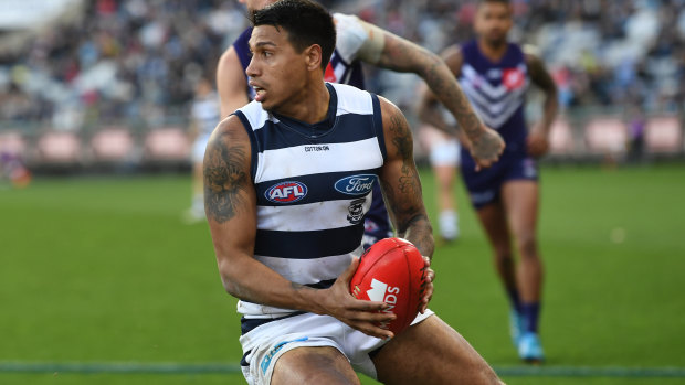 Purrfect fit: Talented Tim Kelly has worked his way into the Cats line-up.