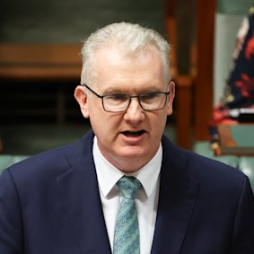 Home Affairs Minister Tony Burke