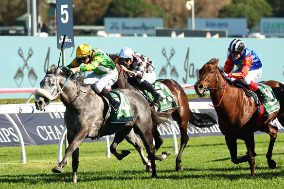 Chain Of Lightning rips clear in the  TJ Smith Stakes at Randwick two weeks ago.