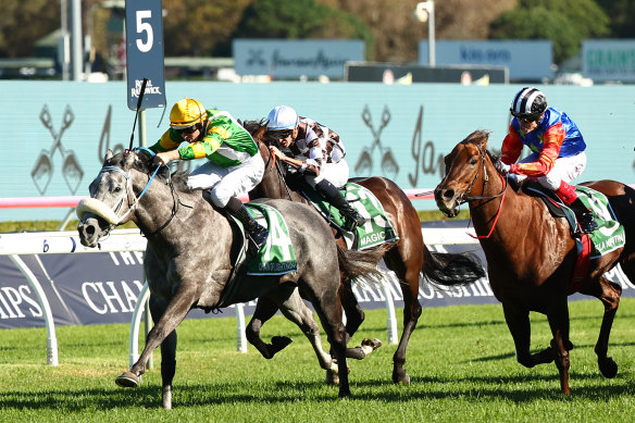 Chain Of Lightning wins the TJ Smith Stakes at Randwick.