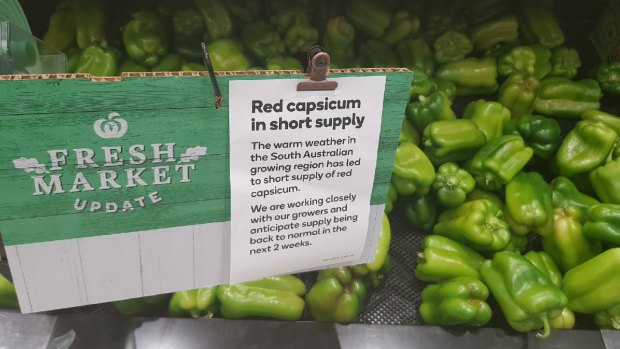Extreme weather in South Australia has caused a shortage of fresh produce in Queensland supermarkets.