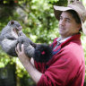 ‘I found I was more comfortable in the forest’: The scientist who took on the logging industry