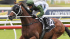 Yes Yes Yes, to be piloted by Glen Boss, is the only three-year-old in The Everest field.