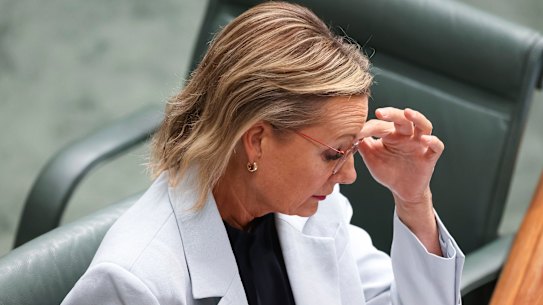 Under pressure … Opposition Leader Sussan Ley.