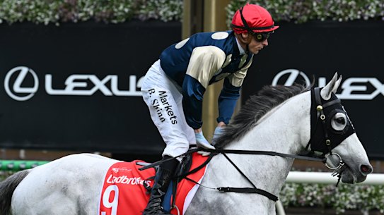 Saint George is out of the Melbourne Cup after failing a mandatory pre-race scan.