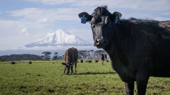 Agriculture accounts for half of New Zealand's greenhouse gas emissions - and will be the  central to that country's climate action.
