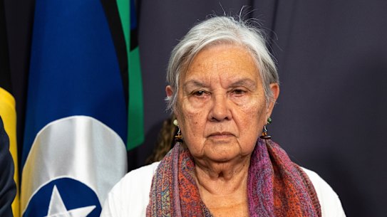 Pat Anderson at a press conference in Canberra in 2023. 