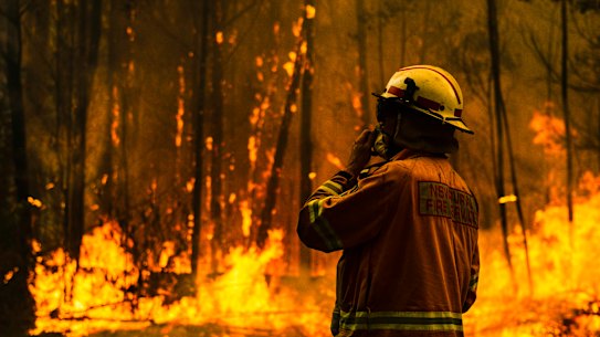 NSW firefighters battle the Currowan blaze. 