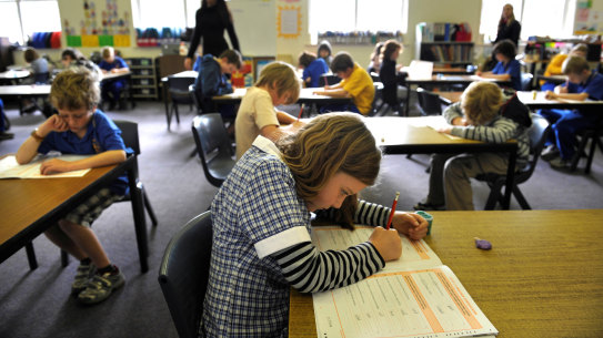 Primary school students sitting the NAPLAN test.