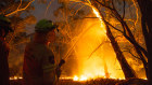 Firefighters work to put out fires at the edge of  the NSW North Black Range bushfire.
