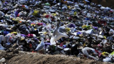 Australia has an urgent need to improve waste management.