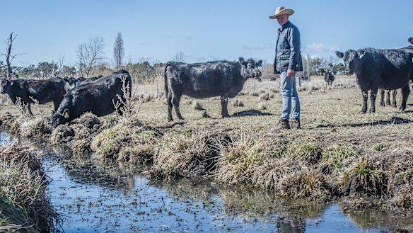 Martin Royds beside a contour channel that extends from one of his 14 weirs, which remain almost full despite the drought.