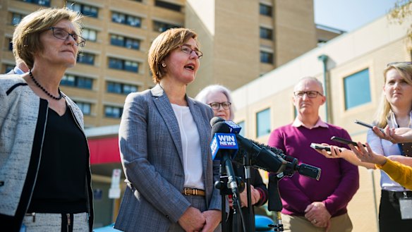 Health Minister Meegan Fitzharris announced the independent review on Monday.