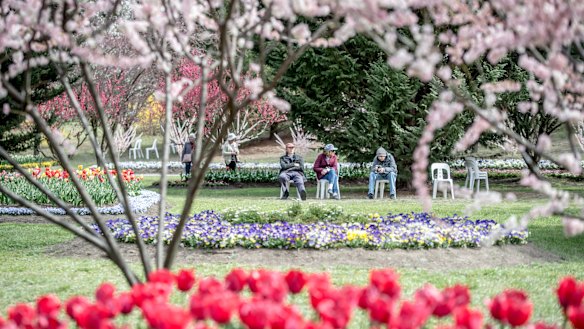 The music-filled 10-acre garden of Tulip Top comes alive in spring.