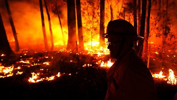 The devastation has been so vast that the continent’s flora and fauna might not recover.