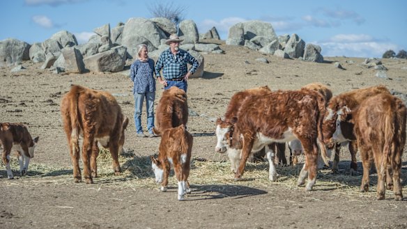 Braidwood farmers Mark and Sonia Horan on their farm, Bedervale in Braidwood, NSW. 