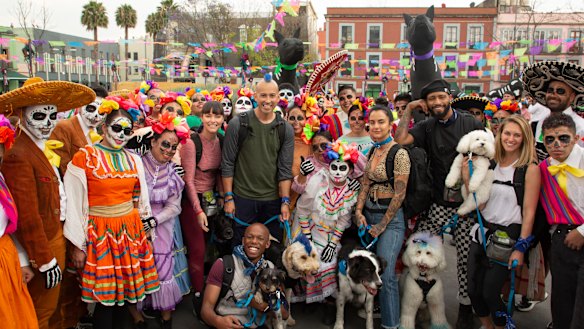 The Pack is a globe-trotting adventure for American dogs and their owners.