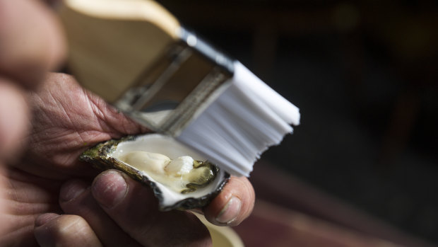 Step three: Brush any small bits of shell away using a pastry brush. Avoid washing the oyster with tap water. 