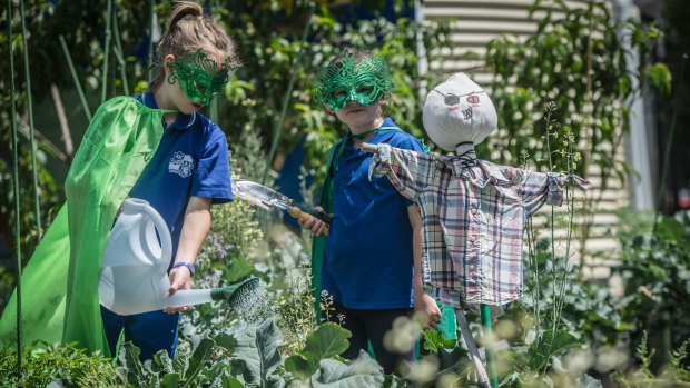 Garran Primary was named the ACT's sustainable school of the year for 2018. Each class has an eco detective (from left)  Emilie Dhu, 7, and Zara Herring, 9.  