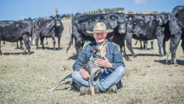Martin Royds will next week say goodbye to the 50 cattle he has left.
