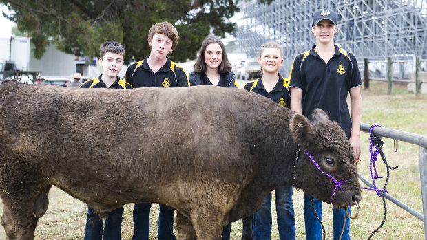 For sale. Monty plus The Canberra Show preview story. Orange High School students Henry Davenport, Ryan Buttriss, Charlotte Mckay, Cennedi Dally, and Tom Middleton from Orange High School.
