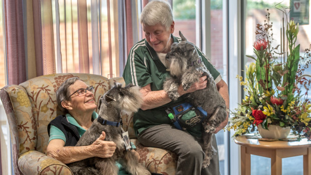Pastoral carer Kathryn McQuarrie, right, of ACT Companion Dog Club with her mini schnauzers and resident and friend of 58 years Diana Lobb, of St Andrews village in Hughes. 