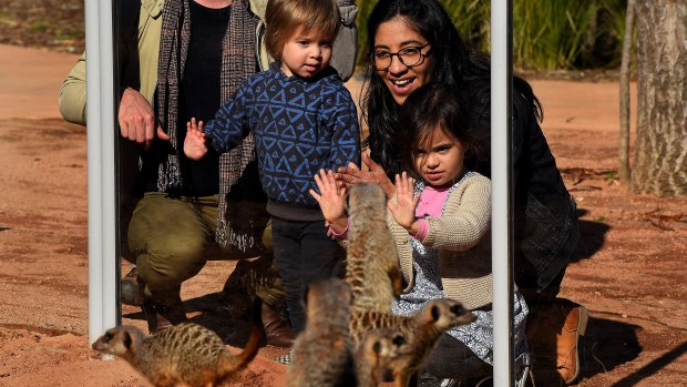 Carolina Holland, with her children Enzo (left) and Lourdes, look at meerkats at Taronga Zoo.