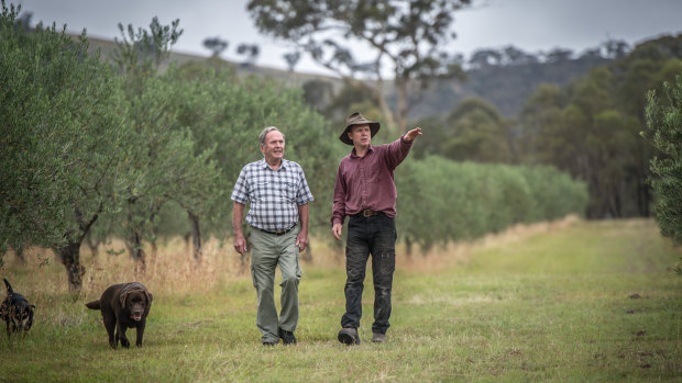 Wallaroo landowners Phil Peelgrane (left) and Ross Hampton are concerned about the long-term effects of clean-fill dumping in their area.